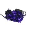 5171 1 vnitrni led vanocni retez fialova 25m 250 led