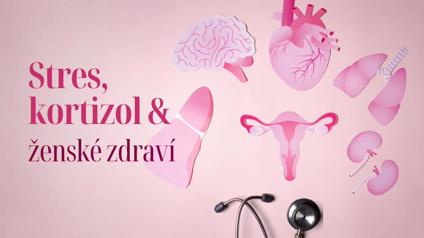Kortizol a ženské zdraví: Proč stres ovlivňuje menstruaci, PMS i hormonální rovnováhu