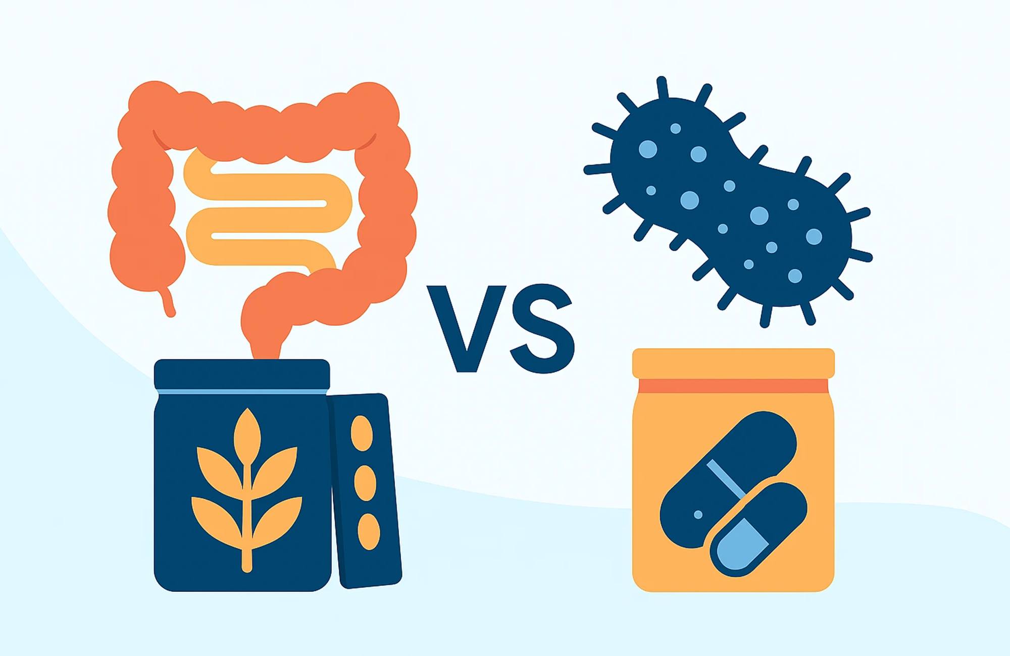 Prebiotika vs. probiotika: Jak sladit rovnováhu střevního mikrobiomu