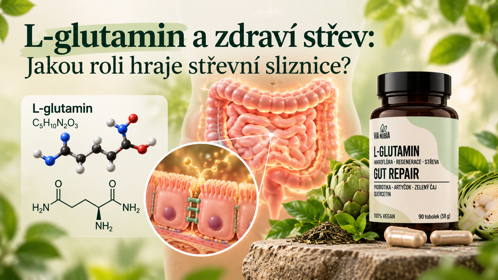 L-glutamin a zdraví střev: Jakou roli hraje střevní sliznice?