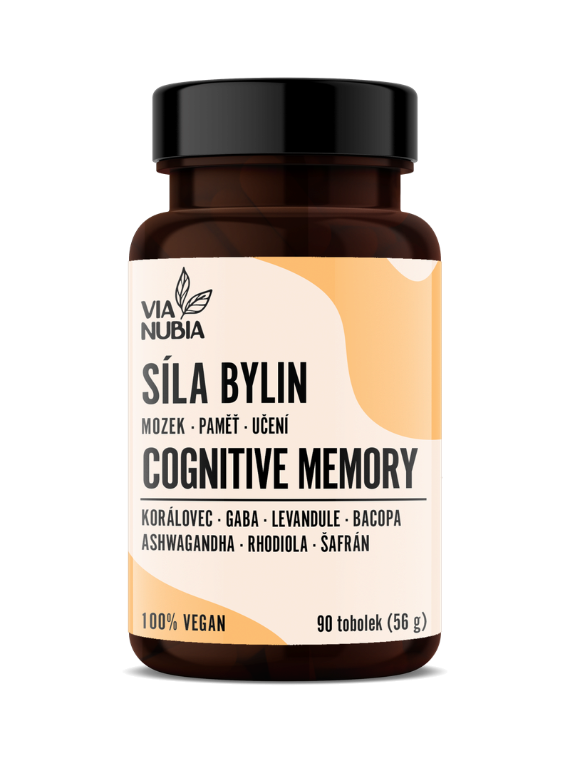 Cognitive Memory