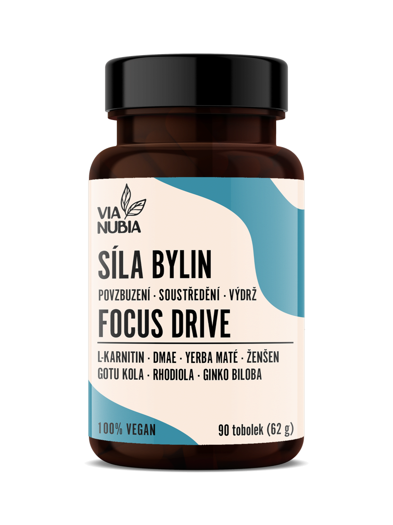 Focus Drive