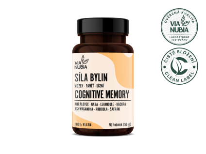 cognitive memory