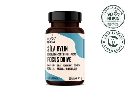 focus drive