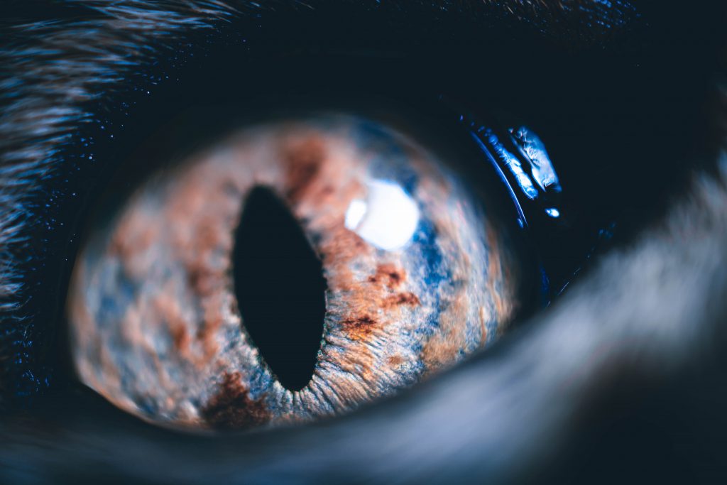 ASTIGMATIZMUS. MÁŠ HO AJ TY?!