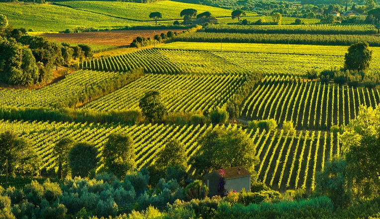 Super Tuscan (supertoskánská vína) - italský fenomén