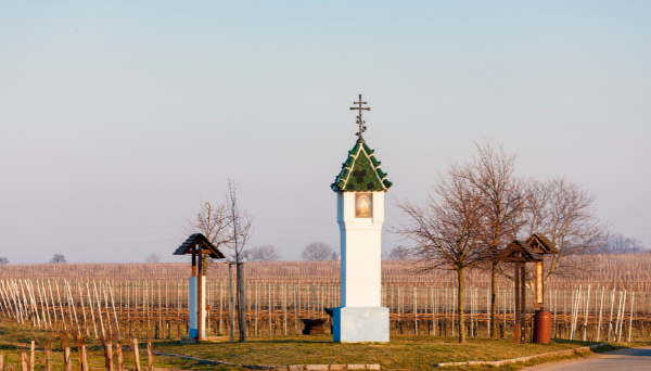 Velké Bílovice - největší vinařská obec v ČR