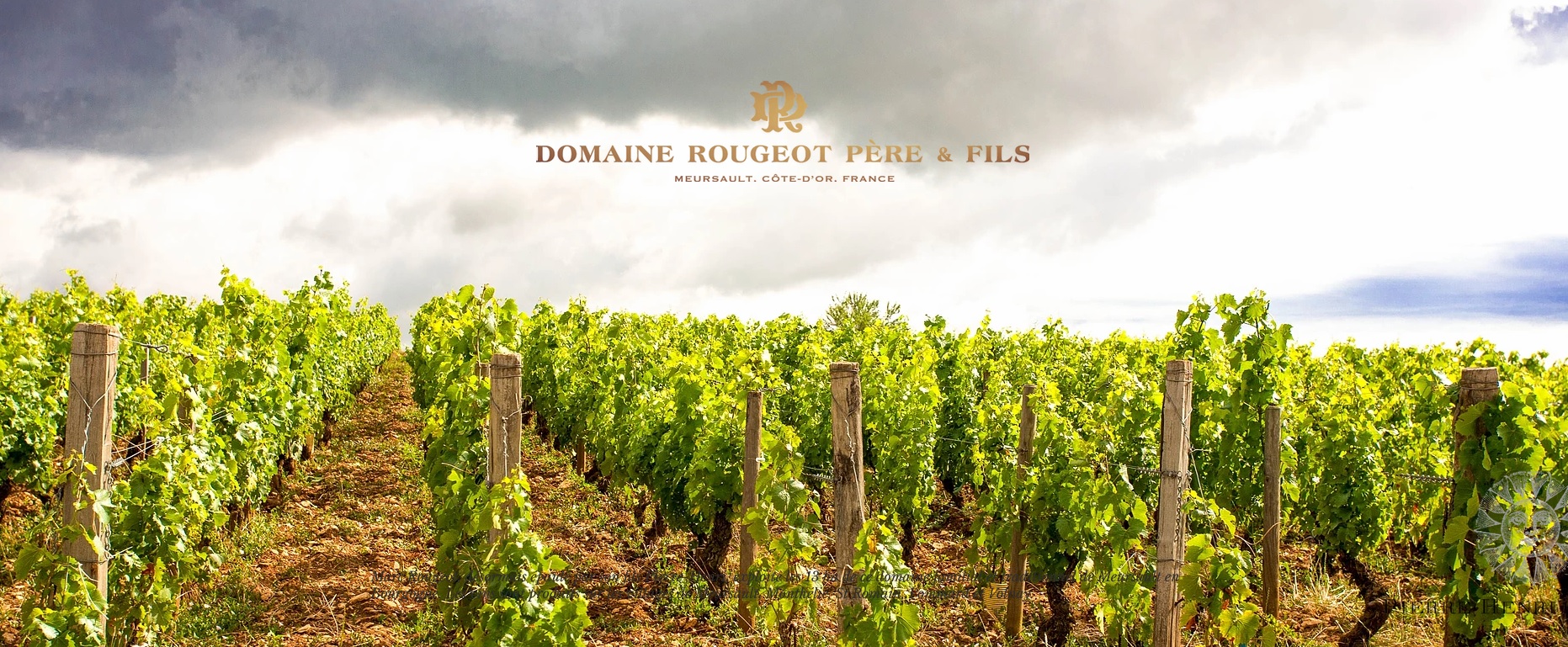 Domaine-Rougeot