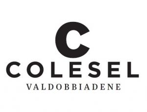 logo-colesel