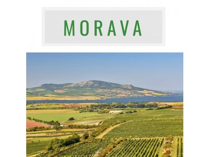 degustace morava