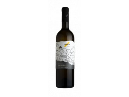 Sauvignon 2016 pozdni sber Skoupil