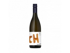 Chardonnay 2018 premium arte vini