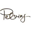logo Pelvins