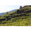 domaine coume del mas 3