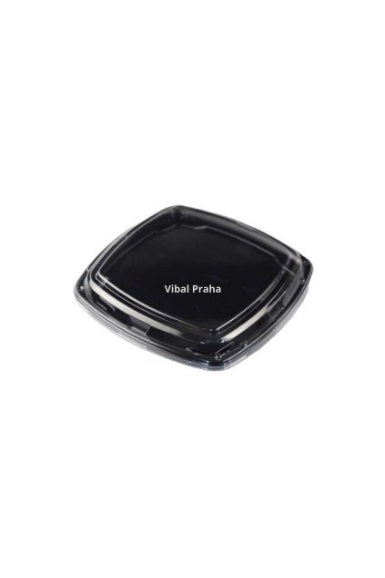 Sushi Schale mit PET Deckel 270x270x53mm 25Stk/8Pkg