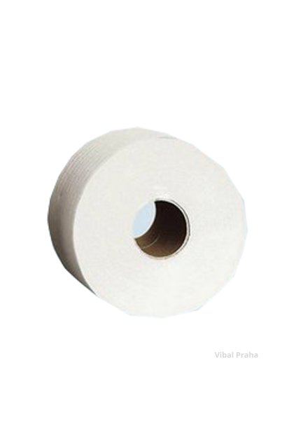 Toaletní papír 2vrst. bílý JUMBO 190mm/100m 12rol