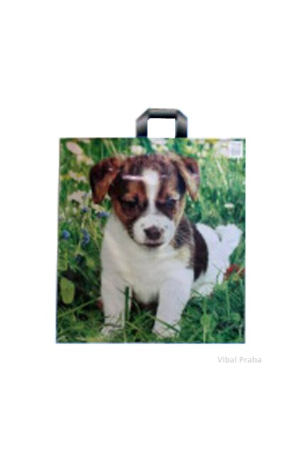 Túi quai xách, in họa tiết chú chó 430x500mm, 500 cái/thùng