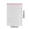 2015 1 sacky zip ldpe 250x350mm 100ks x 10bal x 2box