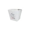 Square noodle ASIA BOX 450ml 50pcs/9 packs