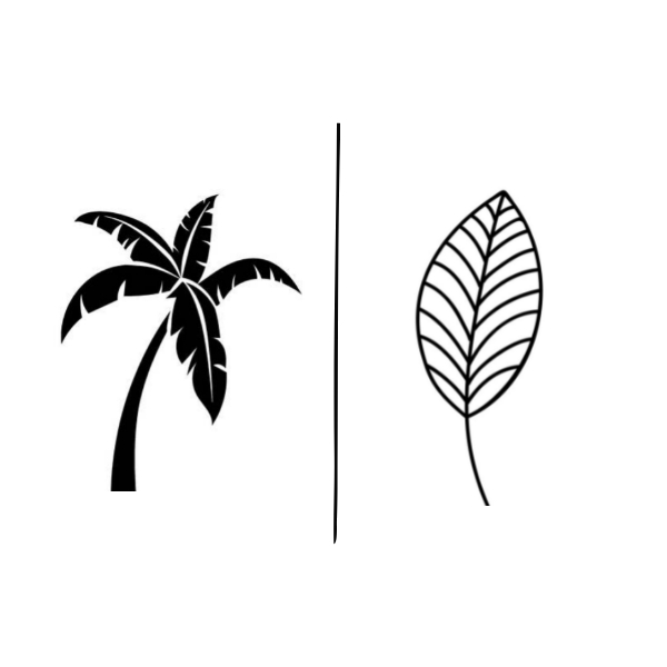 Původ našich produktů