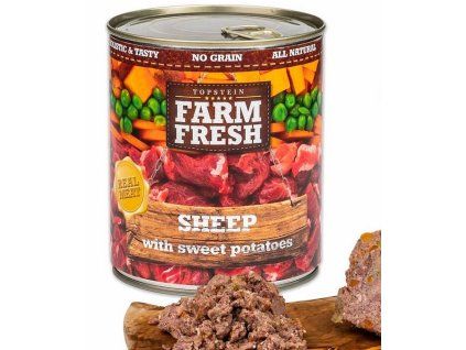 28265 1 farm sheep