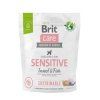 19436 brit care dog sustainable sensitive 1kg