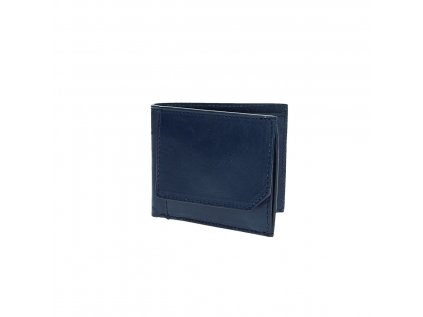 Pánská peněženka Brend modrá