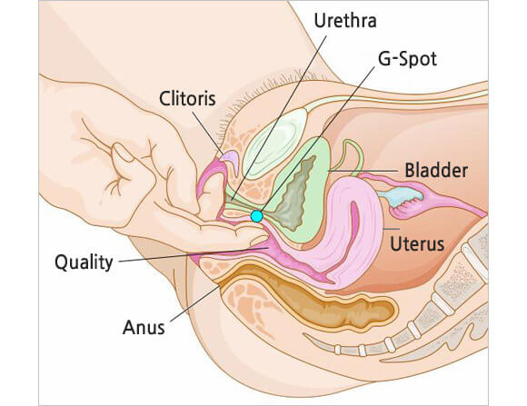 jak_stimulovat_bod_g_vibrator