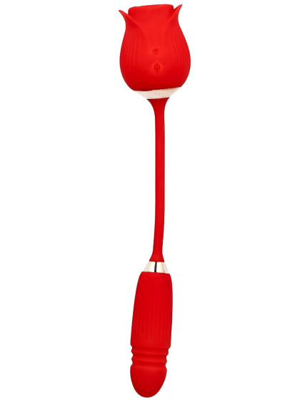 dualni vibrator