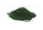 Chlorella