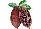 Kakao a karob