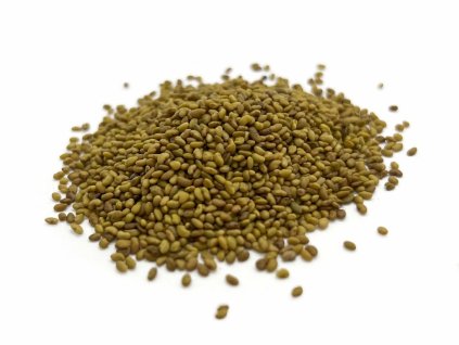 Alfalfa semínka BIO 125 g