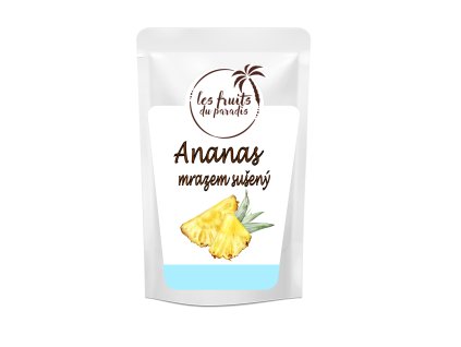 Ananas kousky lyofilizované 40 g