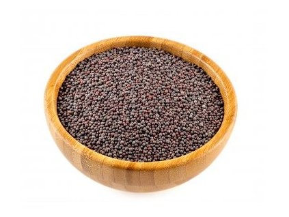 Hořčice tmavá - semínko BIO 3 kg