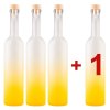 DuraHome Láhev, 3+1 zdarma, Futura Frozen Lemon 500 ml