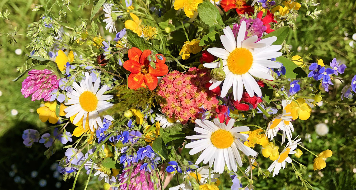 Květina podle znamení 