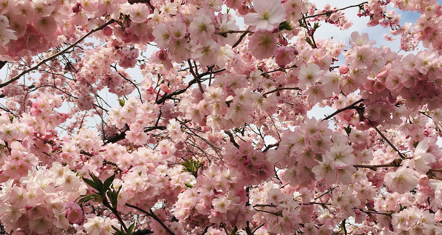 Jak vybrat šperk na 1. Máj?