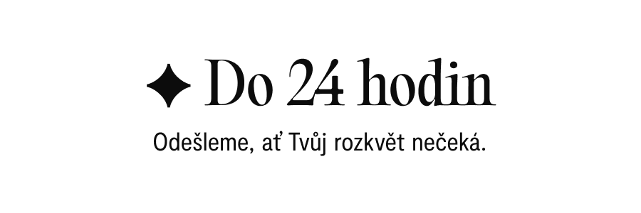 Odesíláme do 24 hodin
