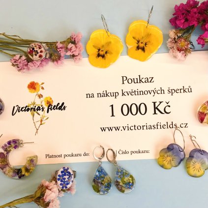 Dárkový poukaz v hodnotě 1000
