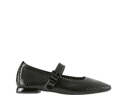 Högl SS 2025 0100 9 110964 0100