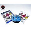 FIFA FOOTBALL 2004 (PS2)