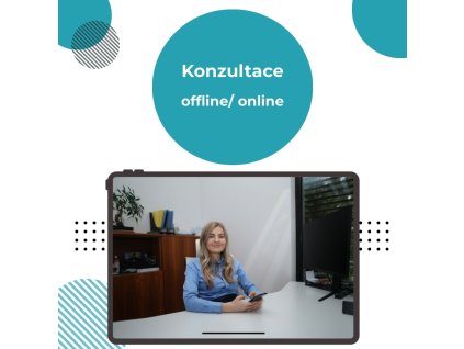 Online / Offline konzultace 1h