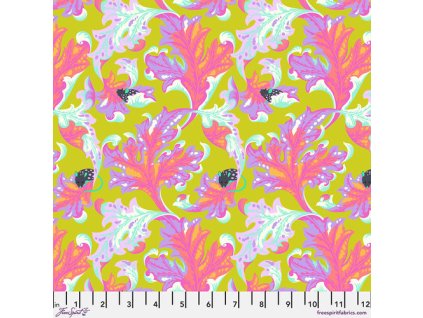 PWTP093.ELECTROBERRY 89504