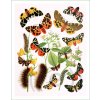 digitálně tištěný látkový panel na patchwork na šití motýli (38)