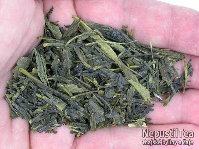 P1010156 NepustilTea.cz vietnam sencha tam chau nt a 01