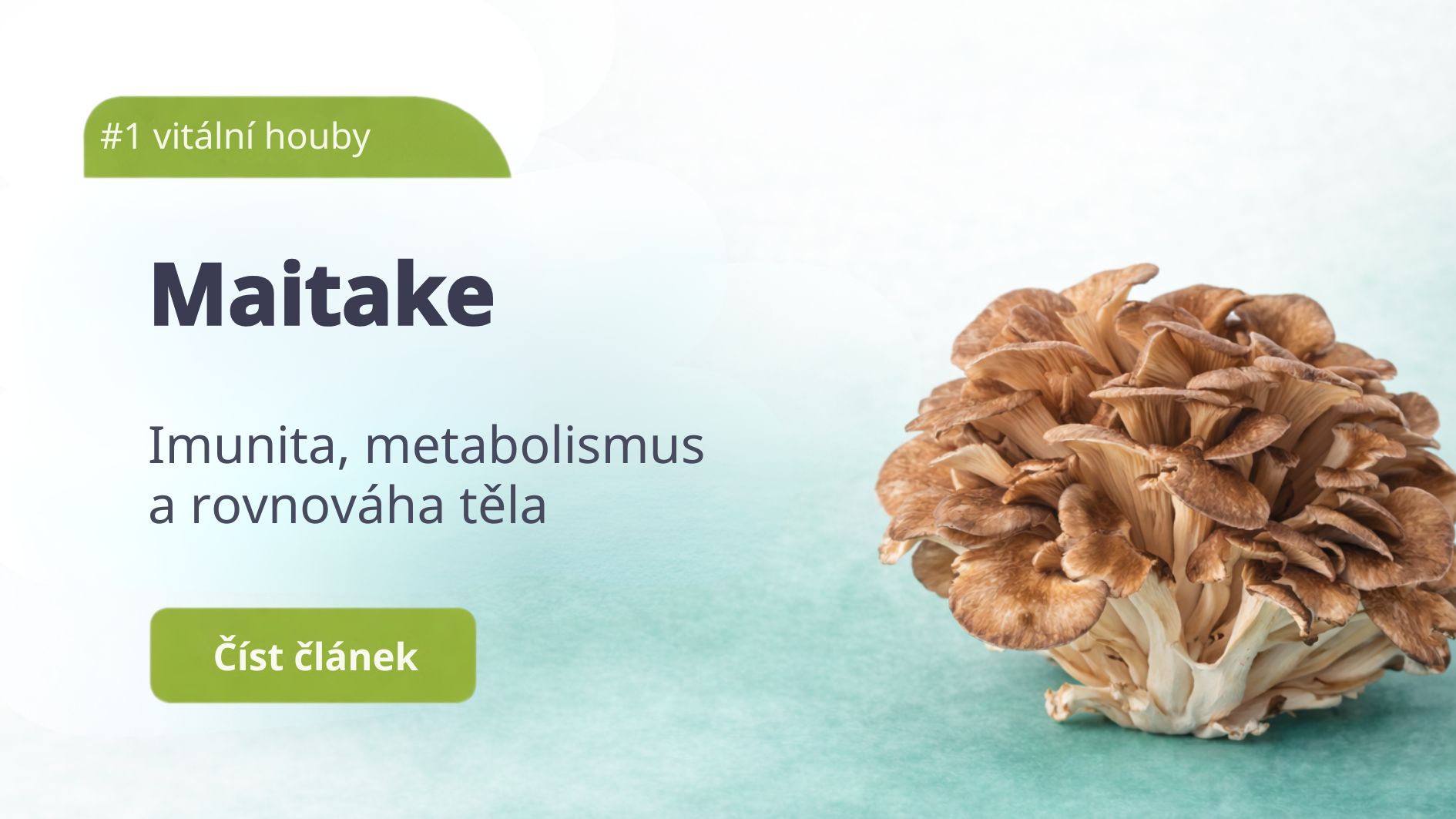 Maitake – tančící houba pro imunitu, metabolismus a rovnováhu těla