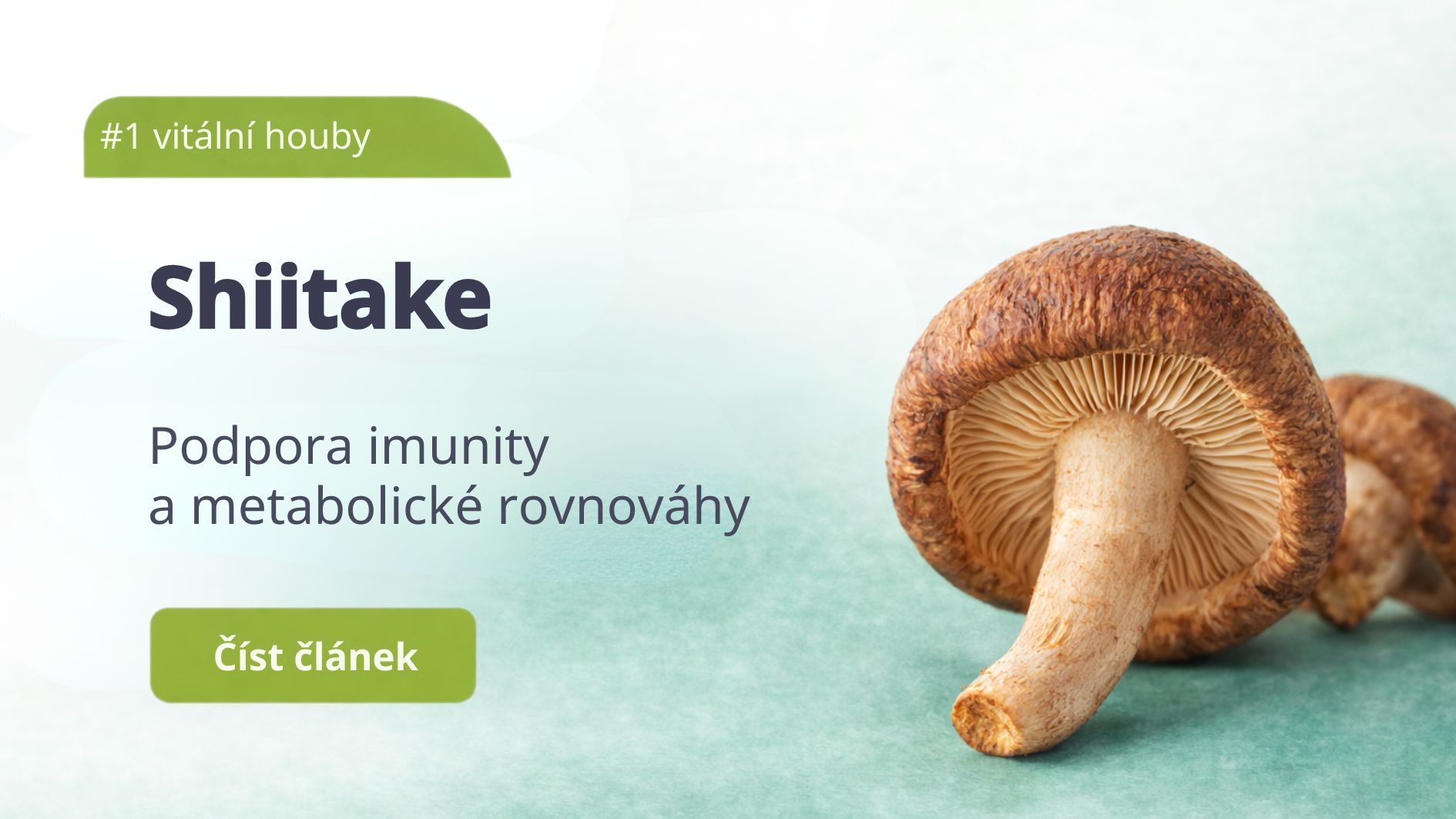 Shiitake - Přírodní síla pro vaši imunitu a vitalitu