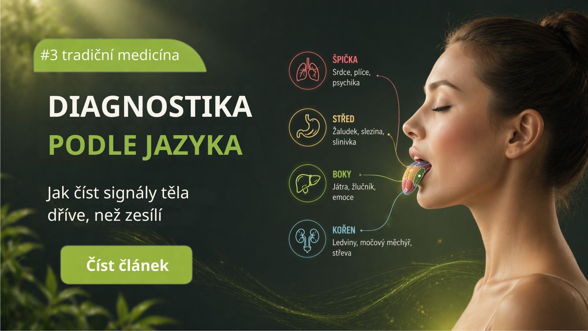 Diagnostika jazyka podle TCM