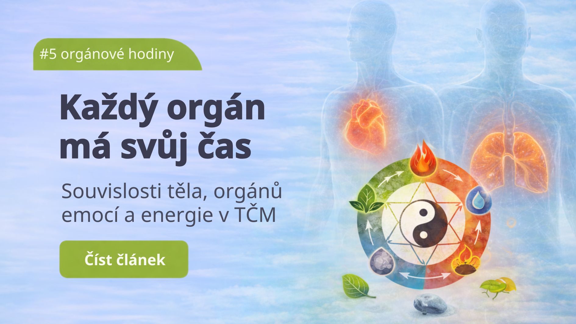 Orgánové hodiny podle tradiční čínské medicíny