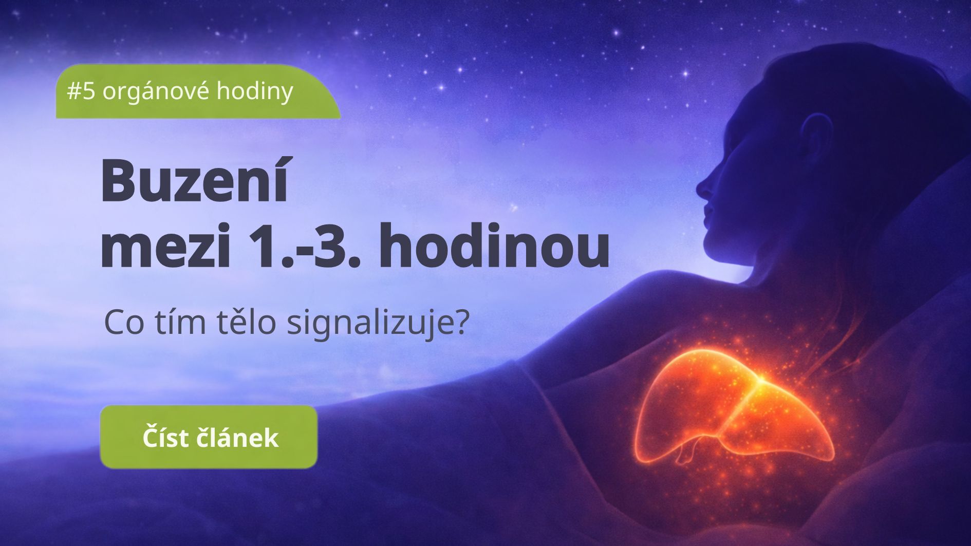 Co znamená buzení mezi 1.–3. hodinou podle orgánových hodin